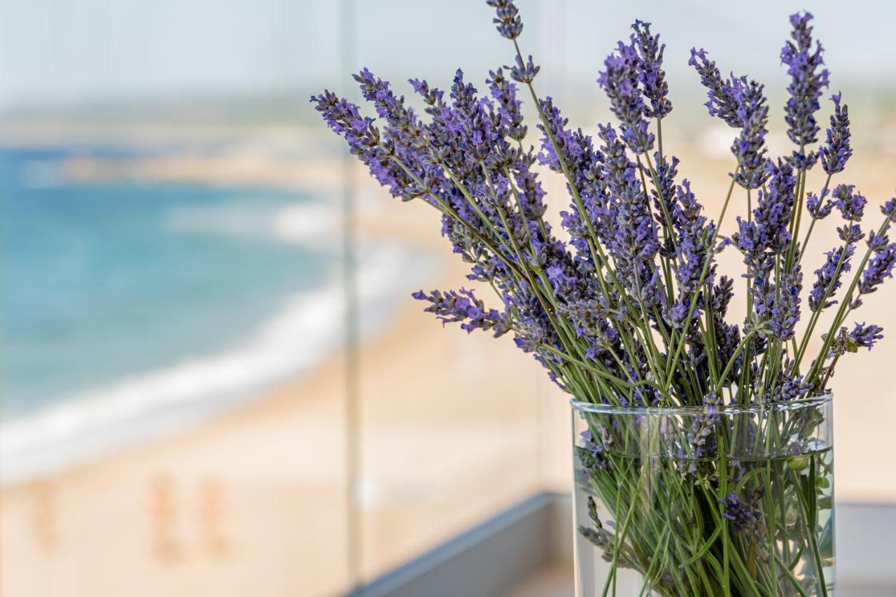 Jatika Boutique Hotel Aglientu Exteriér fotografie